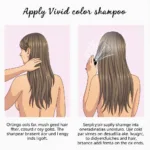 Applying Vivid Color Shampoo to Hair