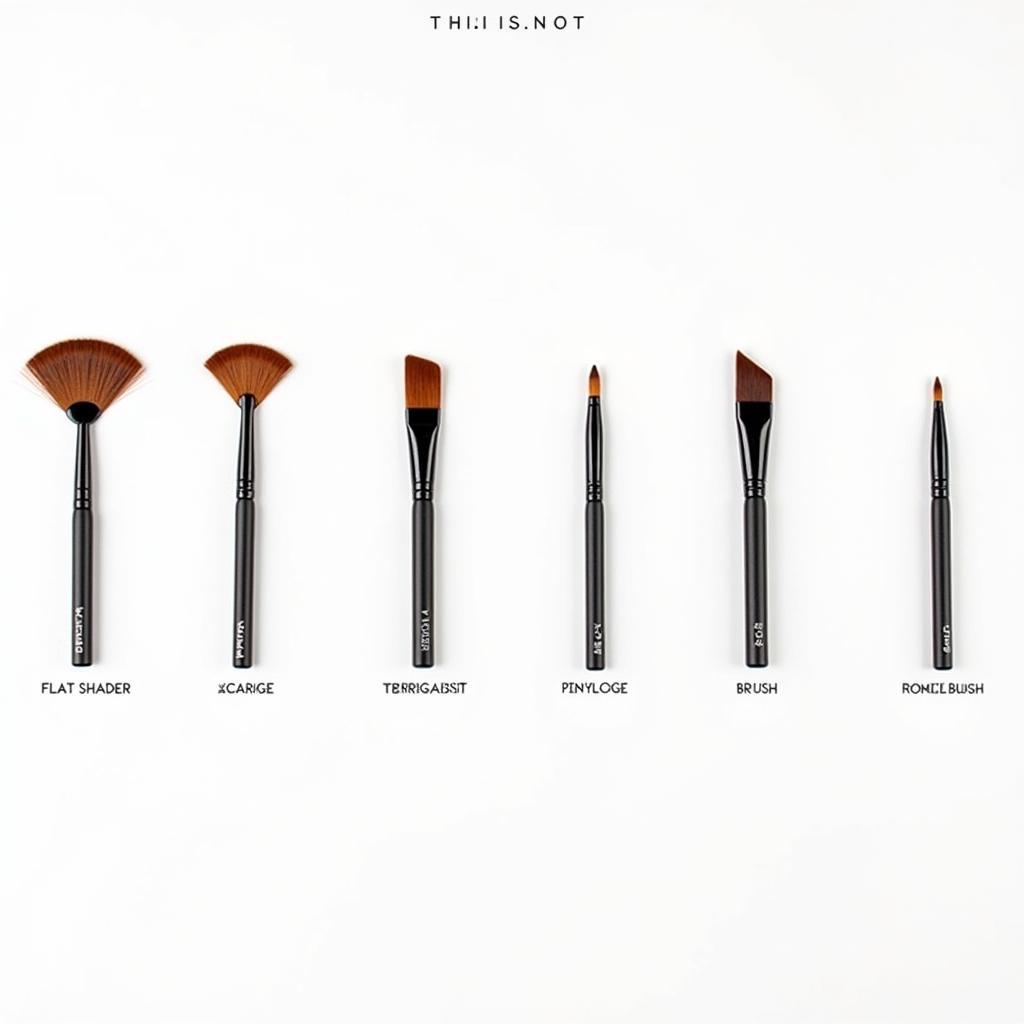 Types of Eye Makeup Brushes