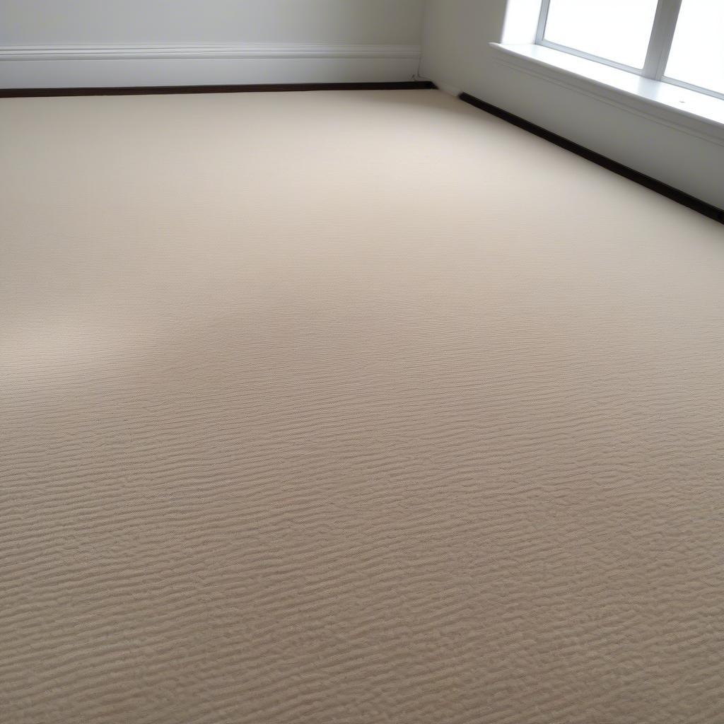 Clean Carpet After Using a Carpet Corrector Brush