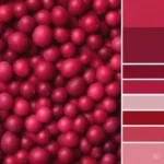 Cranberry Color Palette Showing Various Shades and Tones