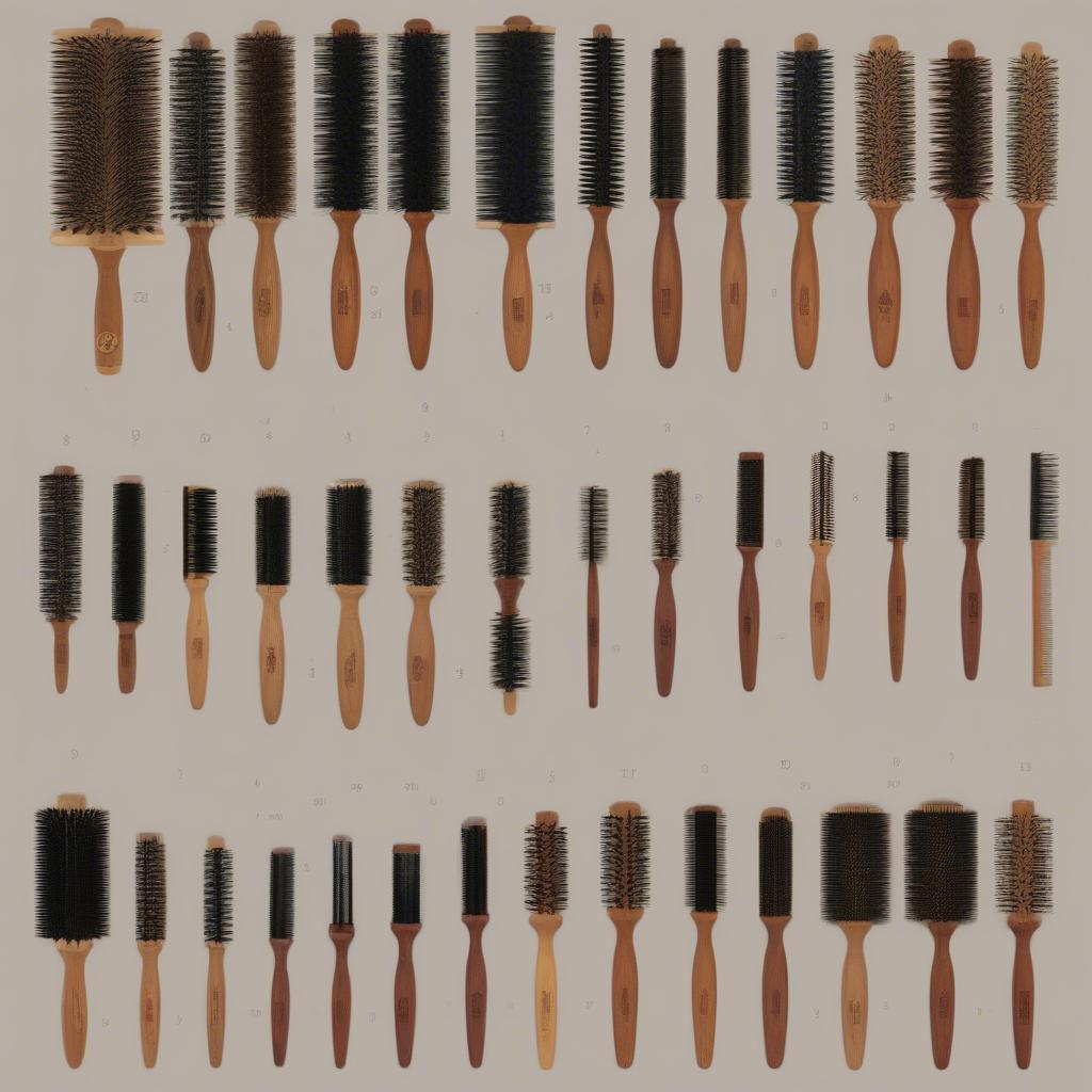 Different Sizes of Round Boar Bristle Brushes