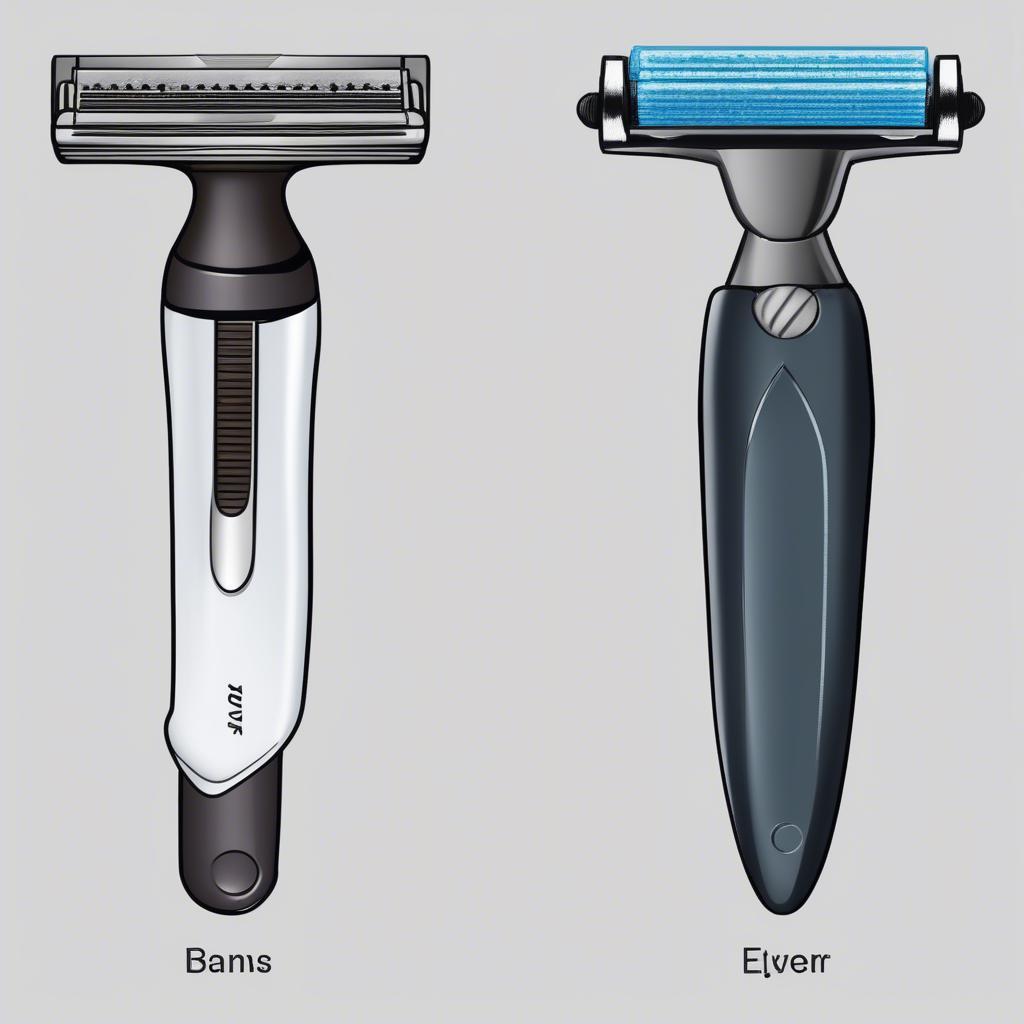 Different Two-Blade Razor Options