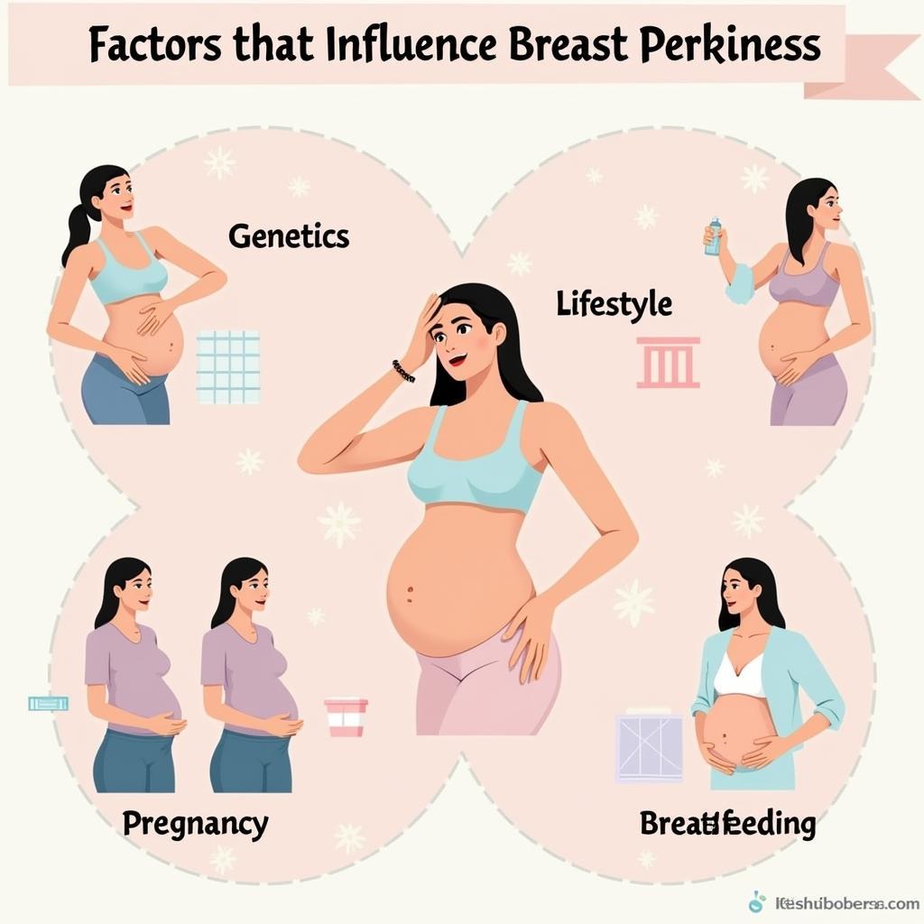 Factors Affecting Breast Perkiness