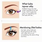 Individual Eyelash Curler Techniques