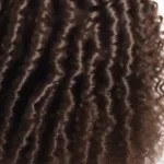 Kinky Curly Wig Example