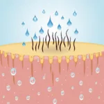 Low Porosity Hair Cuticle Illustration