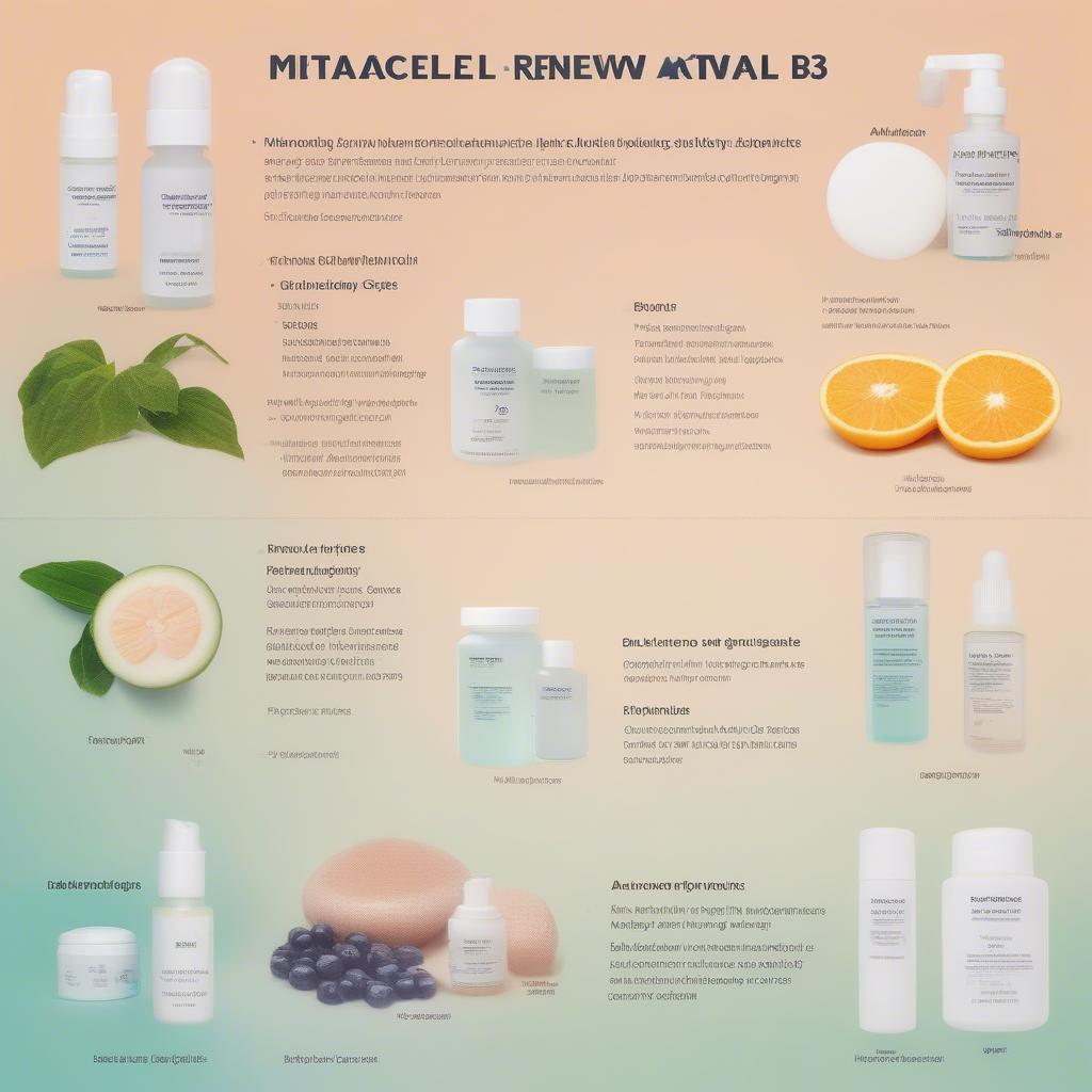 Key Ingredients in Metacell Renewal B3 Dupes