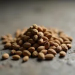 Close-up view of night jasmine seeds showing their size, shape and texture.