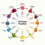 A chart illustrating different perfume families, with examples of fragrances for each.