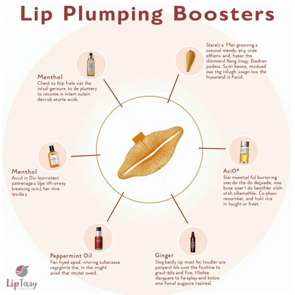 Key Ingredients in Plump Lip Boosters