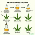 Truly Hemp Oil Extraction Process