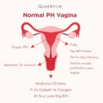 Vaginal pH Balance