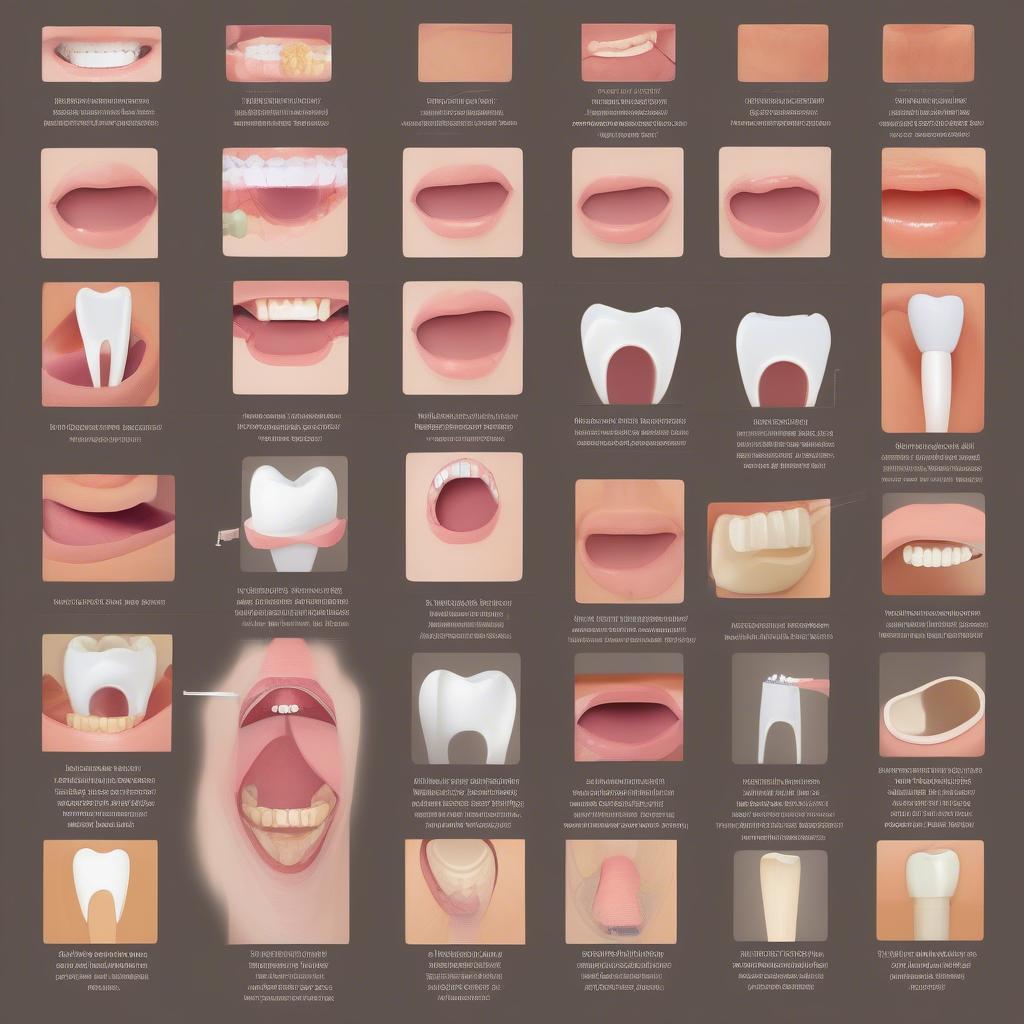 Factors Affecting Veneer Lifespan