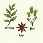 Absinthe Botanicals: Wormwood, Anise, and Fennel