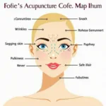 Detailed chart illustrating the key acupuncture points used in facial rejuvenation treatments.