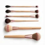 Biggest Makeup Brush Overview