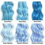 Blue RM Hair Dye Options