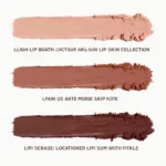 Various shades of brownie lip liner