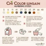 Chi Hair Color Numbering System