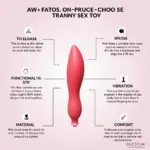 Factors to Consider When Choosing a Tranny Sex Toy