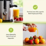 Cold-Pressed Juice Extraction Process