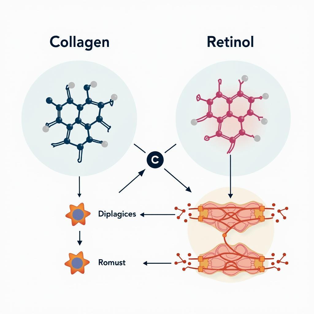 Collagen and Retinol Molecular Structure