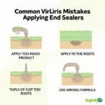 Avoid These Common End Sealer Mistakes