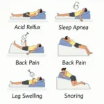 Various Bed Wedge Positions for Different Needs