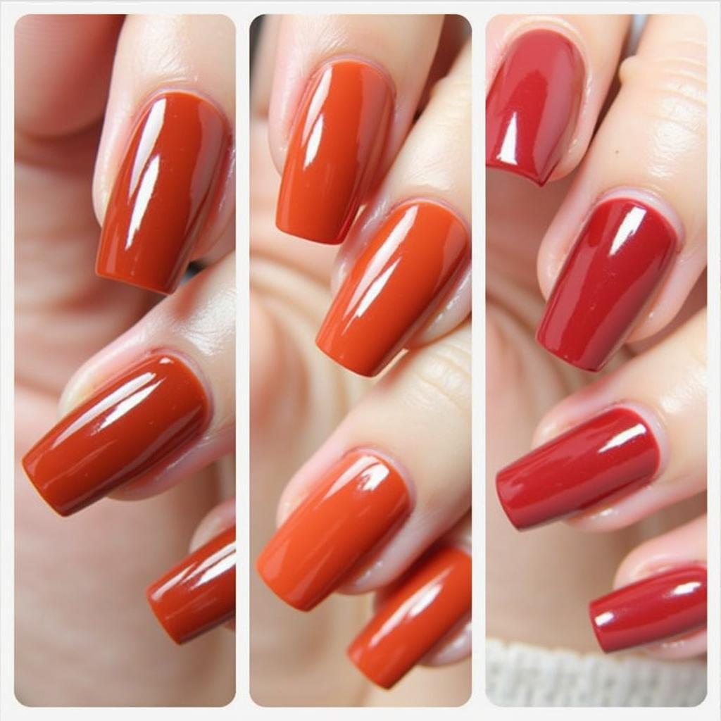 Warm toned fall gel nail colors on different nail shapes