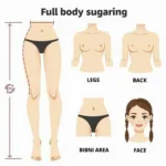 Full Body Sugaring Areas