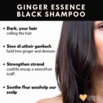 Ginger Essence Black Shampoo Benefits