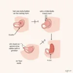 Hooded Belly Button Formation Diagram