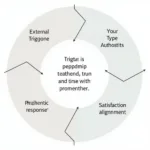 Human Design Response Cycle