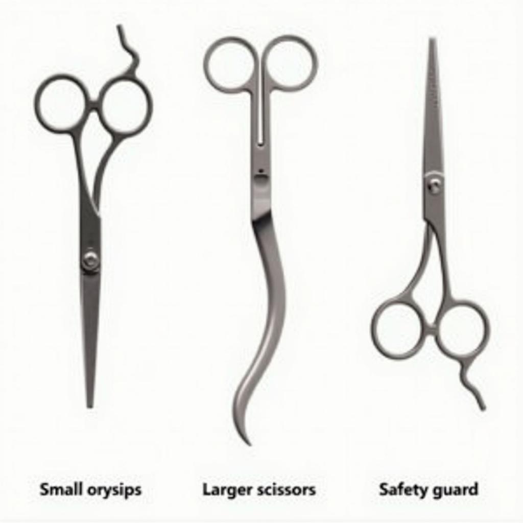 Types of Manscaping Scissors