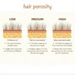 Understanding Natural Hair Porosity