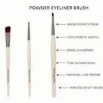 Different Types of Powder Eyeliner Brushes