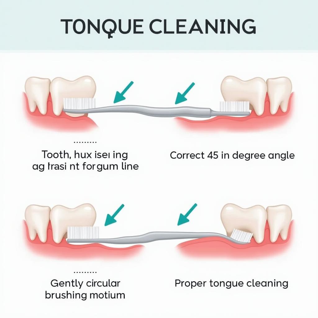 Illustrating Correct Toothbrushing Technique with a Beaut Toothbrush