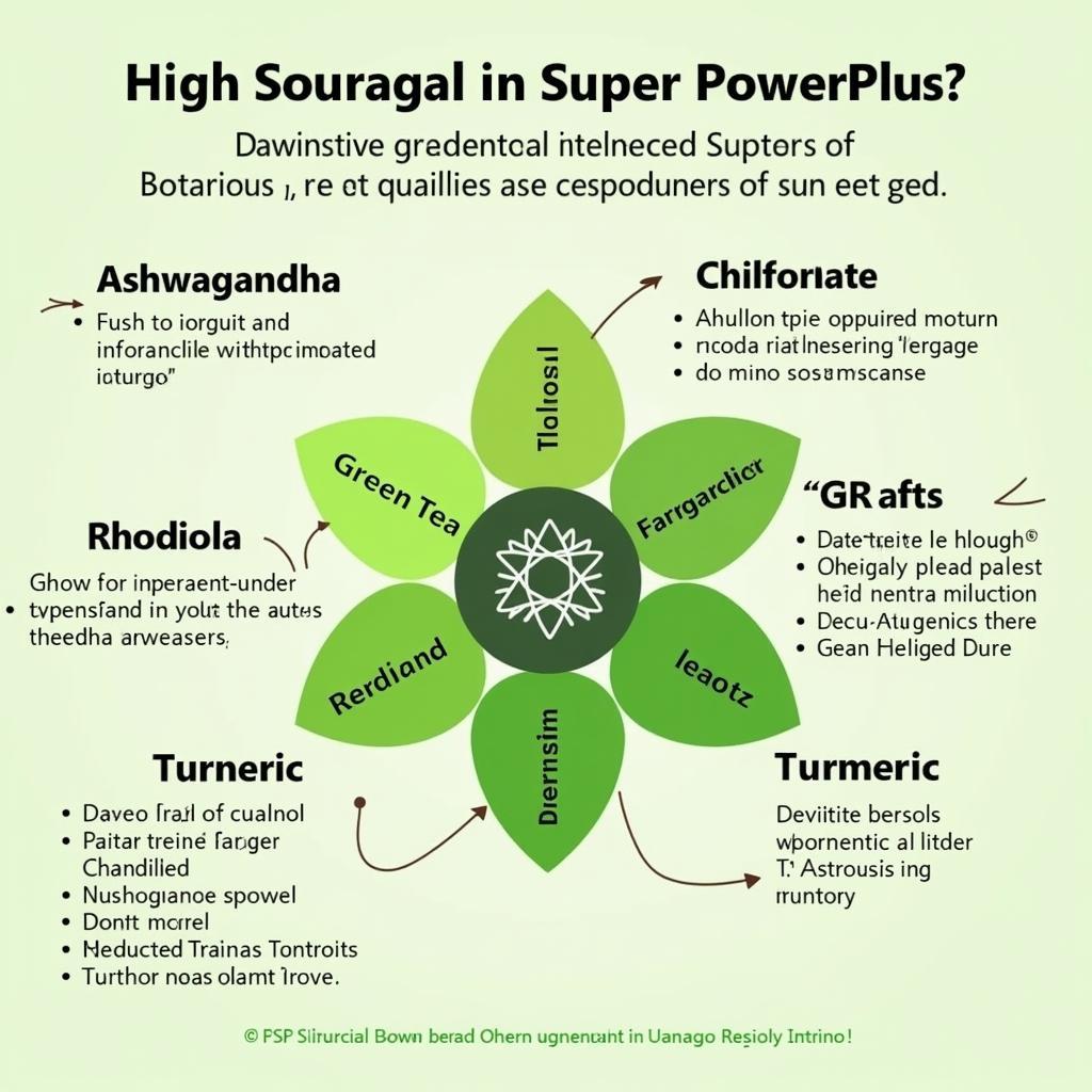 Super Power Plus Key Ingredients