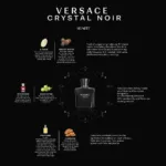 Versace Crystal Noir Miniature Perfume Notes Chart