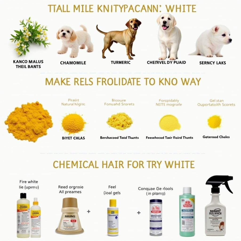 Different Types of White Hair Dye for Dogs